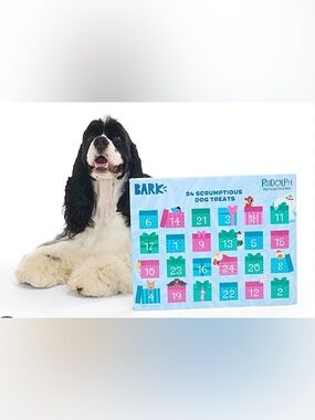 Bark Box small dog Advent Calendar NEW